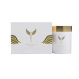 BG Essential Pack - ABD